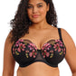 Elomi Teagan Reggiseno A Balconcino Con Ferretto E Coppe Preformate Rainbow
