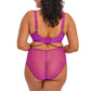 Matilda Hollyhock Brief