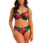 Pichola Reggiseno Costume Con Ferretto